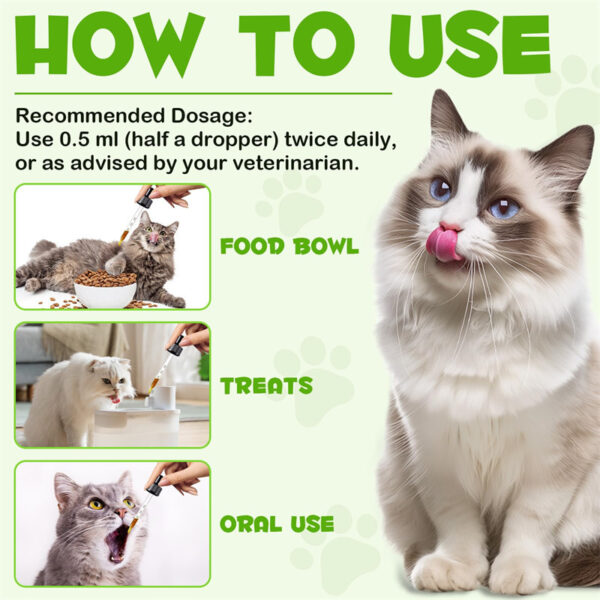 Probiotics for Cats – 3-in-1 Liquid Drops | Gut Immunity, Digestive Health & Energy | 60ml