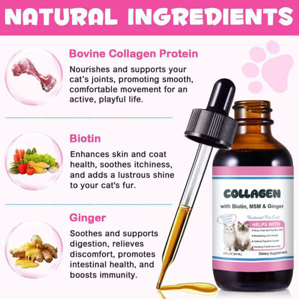 Collagen for Cats – with Biotin, MSM & Ginger | Shiny Coat, Joint & Digestive Health | Salmon Flavor | 60ml
