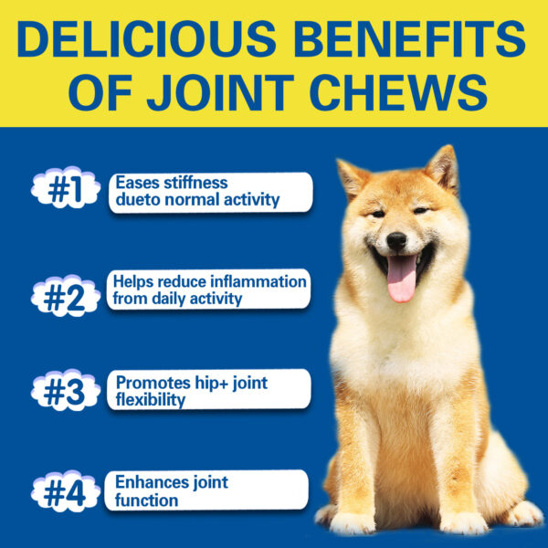 Glucosamine Chondroitin for pets  – Hip & Joint Soft Chews | 120 Count