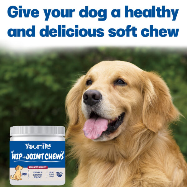 6aefc32a-1f75-43d4-83e0-a461bb74e2af (1) Youmile Hip+Joint Chews – Glucosamine Chondroitin for Dogs | 120 Soft Chews