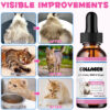 Collagen for Cats – with Biotin, MSM & Ginger | Shiny Coat, Joint & Digestive Health | Salmon Flavor | 60ml