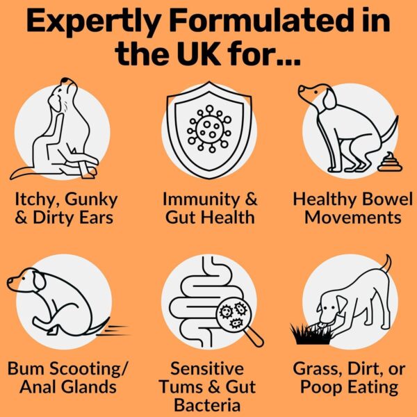 Best Prebiotic and Probiotic for Dogs – Pre, Pro & Postbiotic Triple-Action Treats | Beef Flavor | 120 Chews