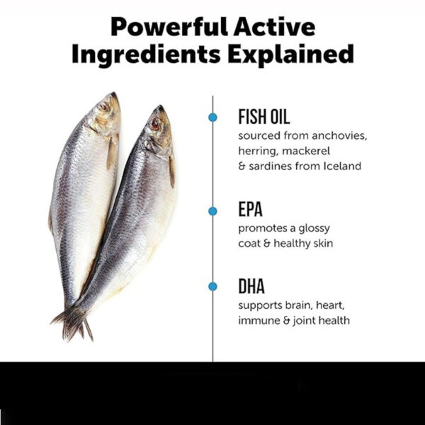 Fish Salmon Oil for Dogs and Cats – Omega Skin & Coat Supplement | Itch & Allergy Relief | DHA & EPA | 120 Soft Chews