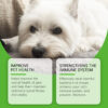 Yegbong Natural Antibiotic for Dogs – Immune, Digestion & Skin Support Drops | 60ml