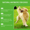 Yegbong Natural Antibiotic for Dogs – Immune, Digestion & Skin Support Drops | 60ml