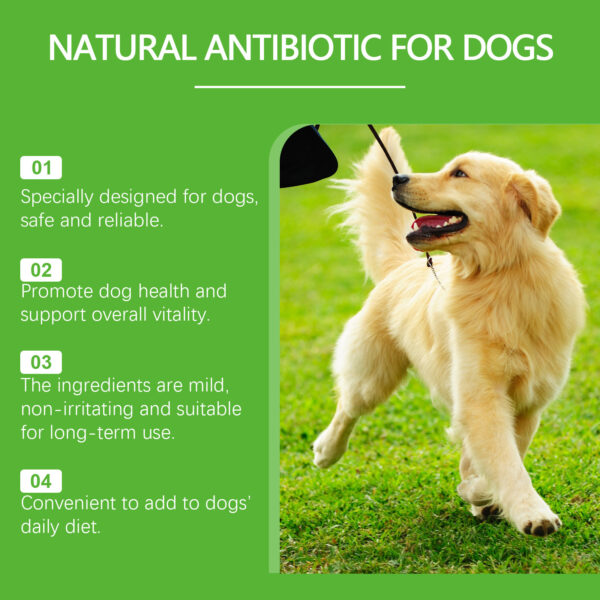 Yegbong Natural Antibiotic for Dogs – Immune, Digestion & Skin Support Drops | 60ml