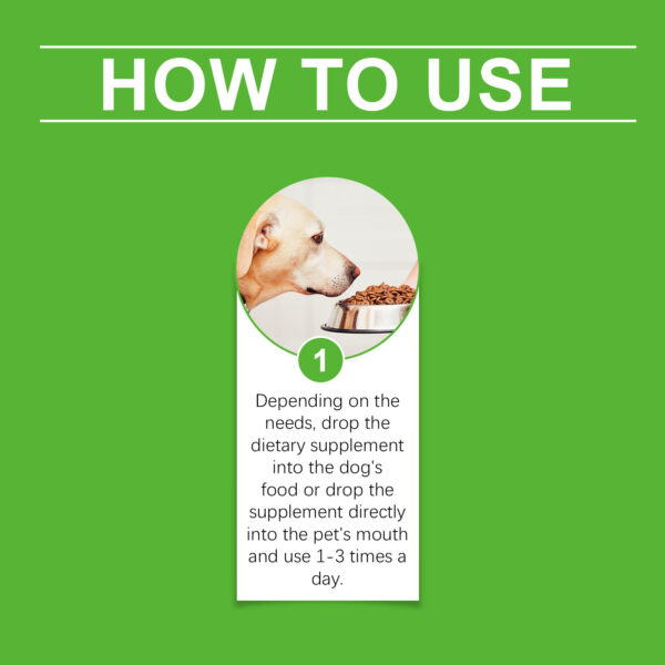 Yegbong Natural Antibiotic for Dogs – Immune, Digestion & Skin Support Drops | 60ml