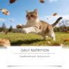 87f312ca-e121-4062-8db3-07ce7b3317b1.jpg Taurine Powder For Cats Gentle Formula For Comfort And Nutritional Support