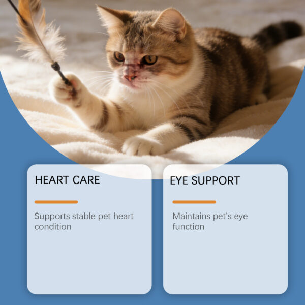 a1126316-8347-46b1-8494-9da3dba7bd6d.jpg Taurine Powder For Cats Gentle Formula For Comfort And Nutritional Support