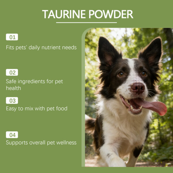 Taurine Powder For Dogs A Gentle Formula To Nourish And Support Your Dogs Daily Health And Well-being