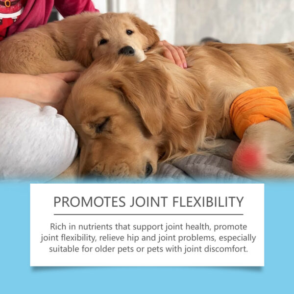 bcfcf2dc-a5a0-4fc2-ac2c-1e2d30d38246.jpg Pet Care Drops Enhance Immunity Dog Nutrition Supplement For Cats