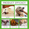 Yegbong Natural Antibiotic for Dogs – Immune, Digestion & Skin Support Drops | 60ml