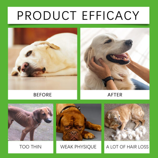 Yegbong Natural Antibiotic for Dogs – Immune, Digestion & Skin Support Drops | 60ml