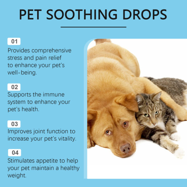 e8719fbb-9f58-4c0c-bb34-0ea97e0789f5.jpg Pet Care Drops Enhance Immunity Dog Nutrition Supplement For Cats