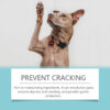 f4add0bf-d8cb-4c4b-804d-cb889210b2c5.jpg Paw Cleaner Dog Foam for Clean & Moisturised Paws