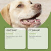 Taurine Powder For Dogs A Gentle Formula To Nourish And Support Your Dogs Daily Health And Well-being