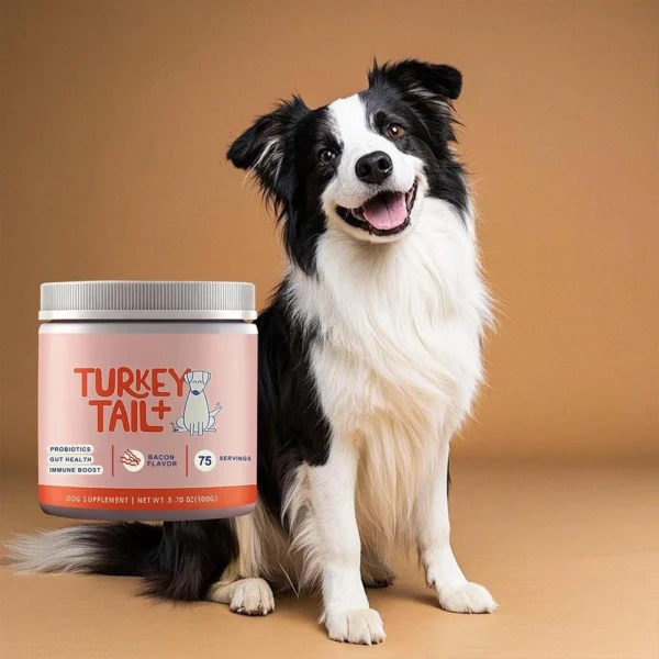 s-l1600 (20) Turkey Tail+ – Best Probiotic for Dogs for Gut Health & Immune Support | Bacon Flavor | 75 Servings