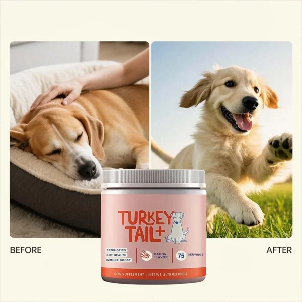 s-l1600 (22) Turkey Tail+ – Best Probiotic for Dogs for Gut Health & Immune Support | Bacon Flavor | 75 Servings