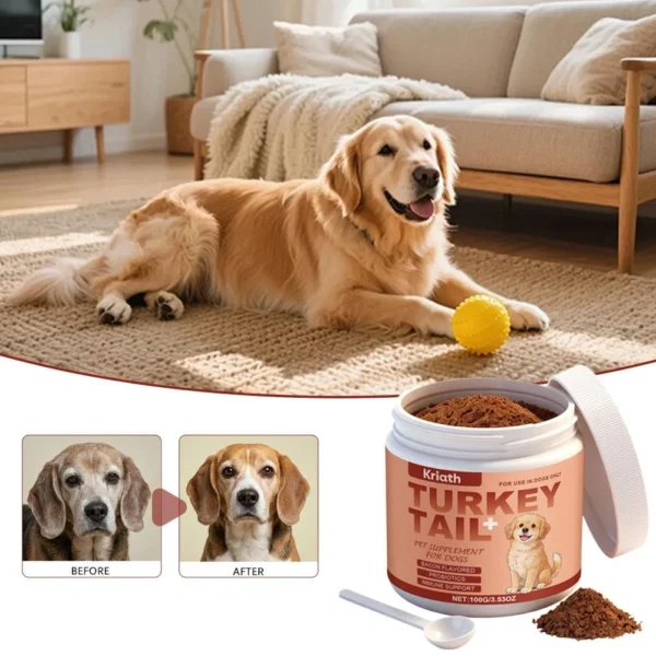 Kriath Turkey Tail+ – Turkey Tail Mushroom for Dogs with Probiotics | Bacon Flavored | 100g